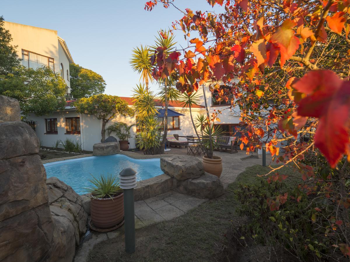 Blue Oyster Bed And Breakfast Knysna Exterior foto